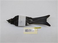 藏品(大卷尾)的圖片